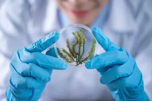 Graduação em Biotecnologia